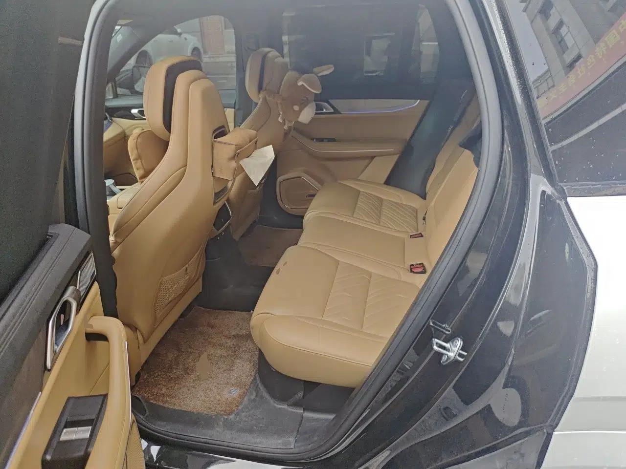 Lynk & Co 09 EM-P 2023 2.0TD EM-P Four-Wheel Drive Asian Games Executive Edition Five Seats — миниатюра 17