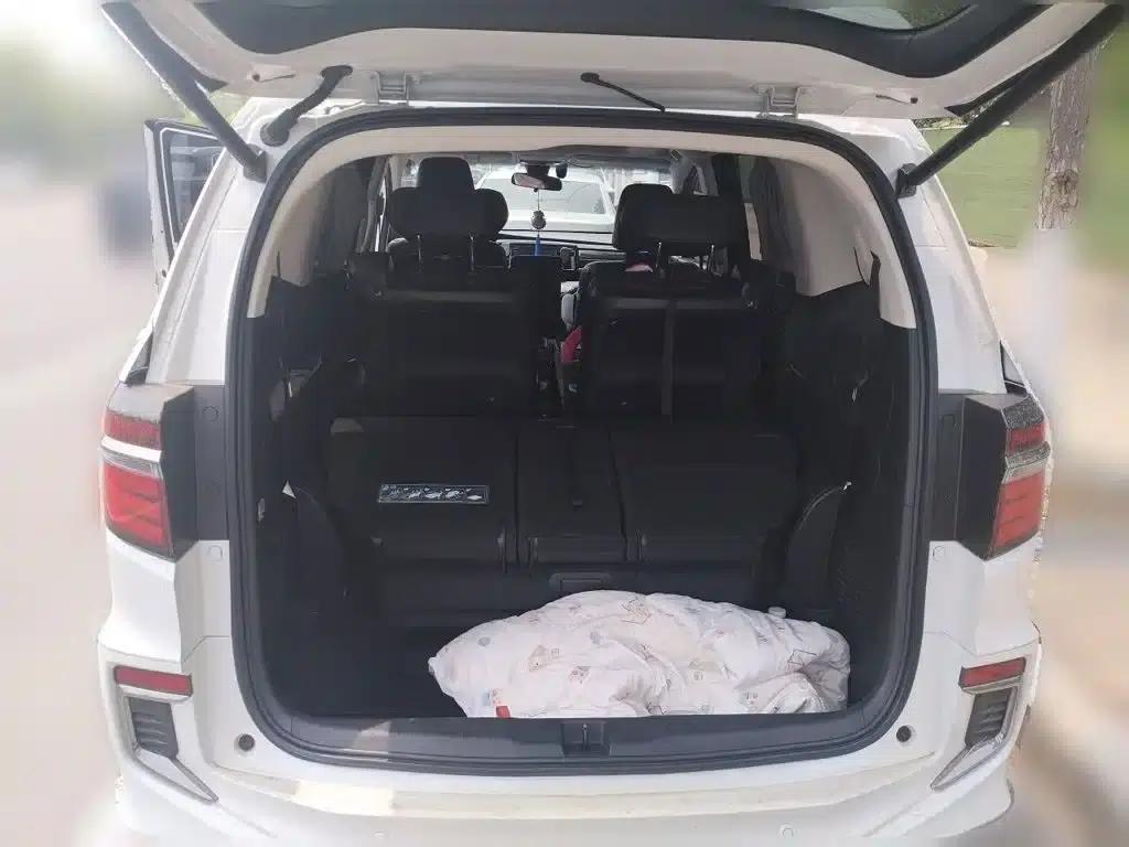 Elysion 2019 2.0L Hybrid Luxury Edition — миниатюра 10