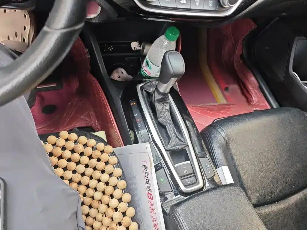2019 Honda Crider 180Turbo CVT Comfort Edition (National V Emission Standard) — миниатюра 7
