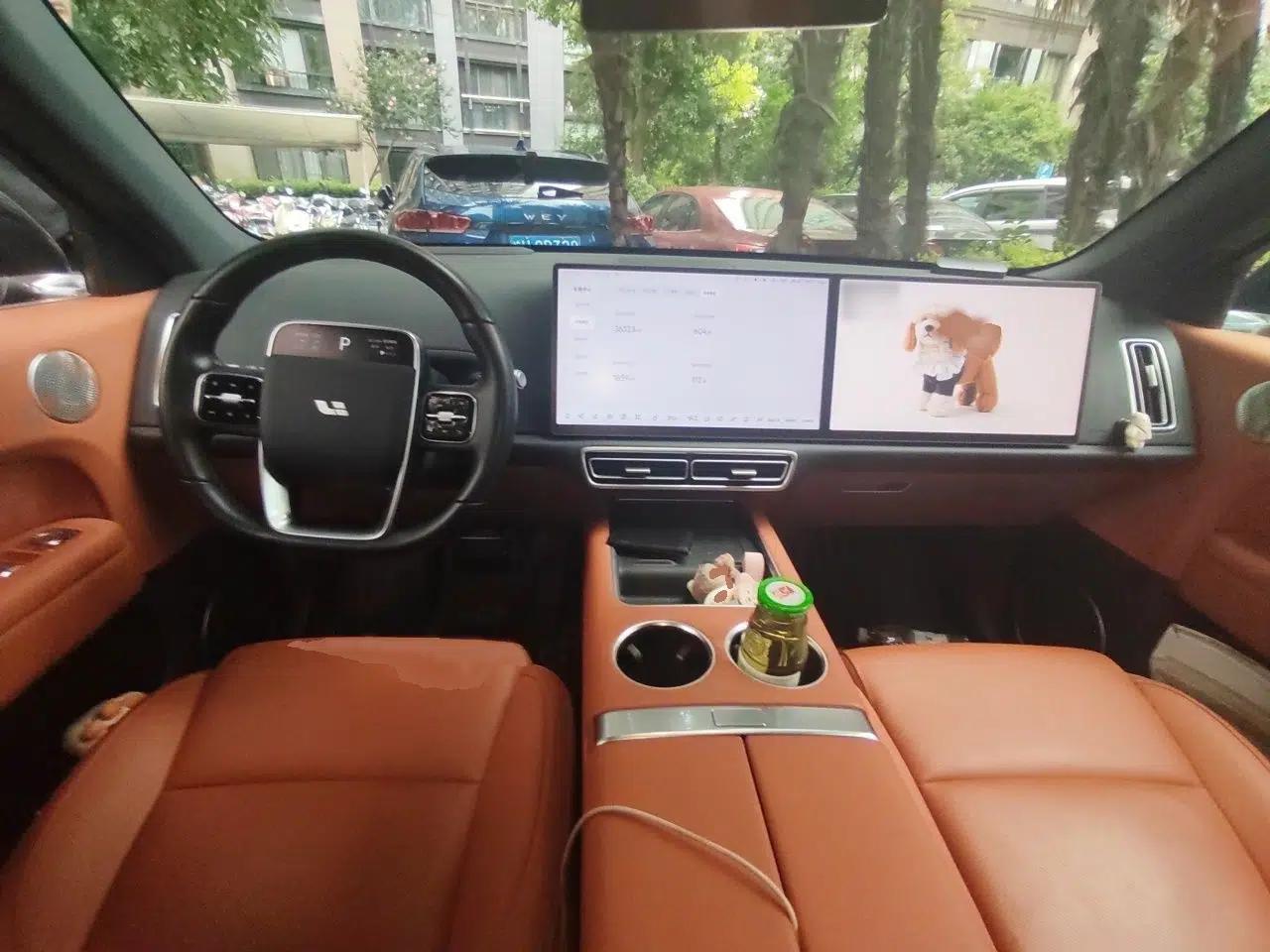 Li Auto L6 2024 Pro Model — миниатюра 18