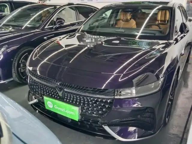 VOYAH PASSION 2024 PHEV Four-Wheel Drive Ultra-Long Range Flagship Model