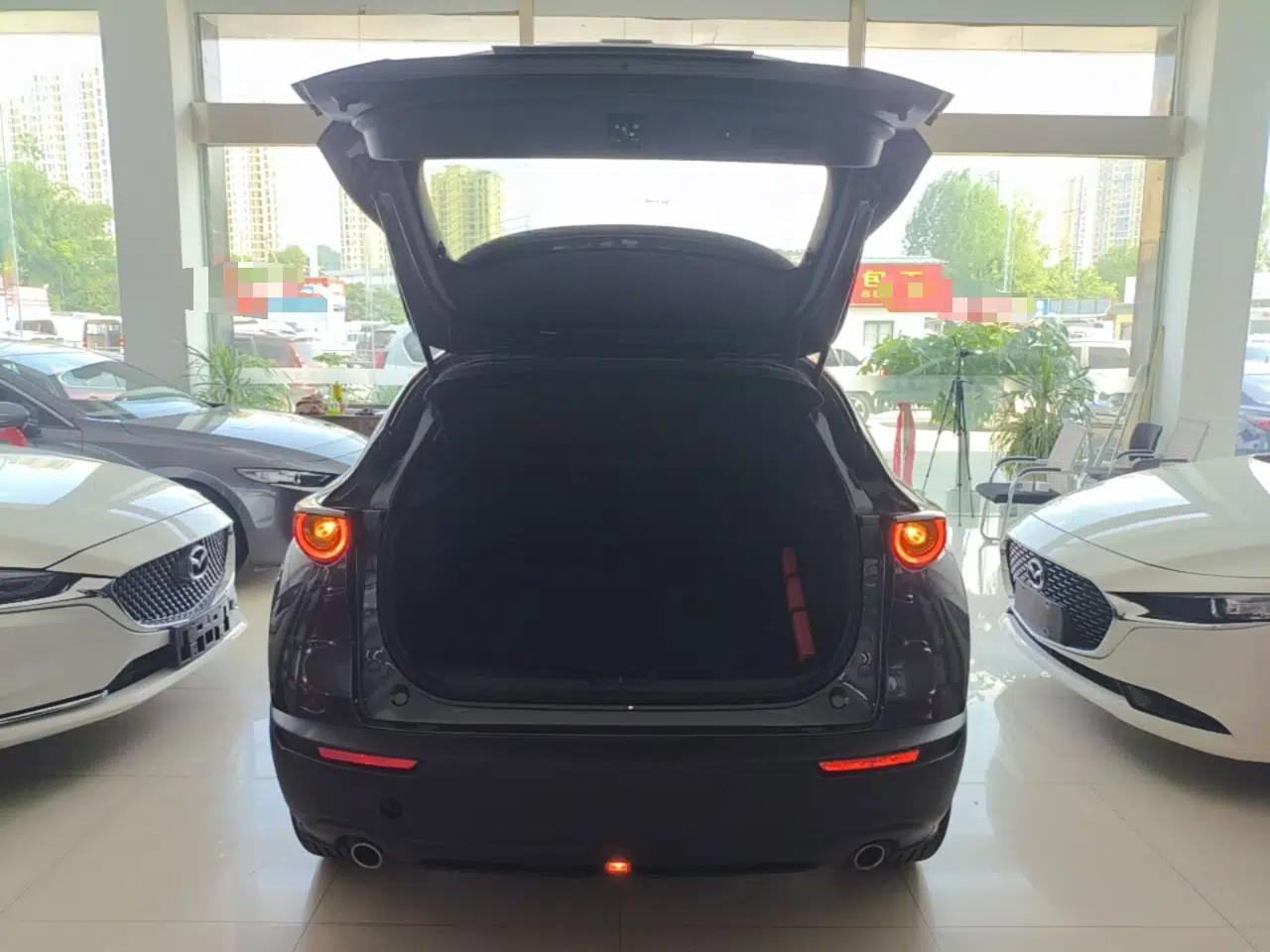 Mazda CX-30 2020 2.0L Automatic YAYUE Version — миниатюра 22