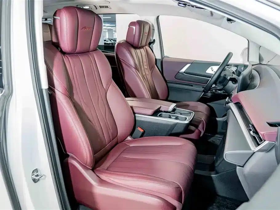 Century 2023 2.0T Six-Seat Luxury Edition — миниатюра 23
