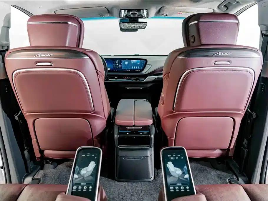 Century 2023 2.0T Six-Seat Luxury Edition — миниатюра 30