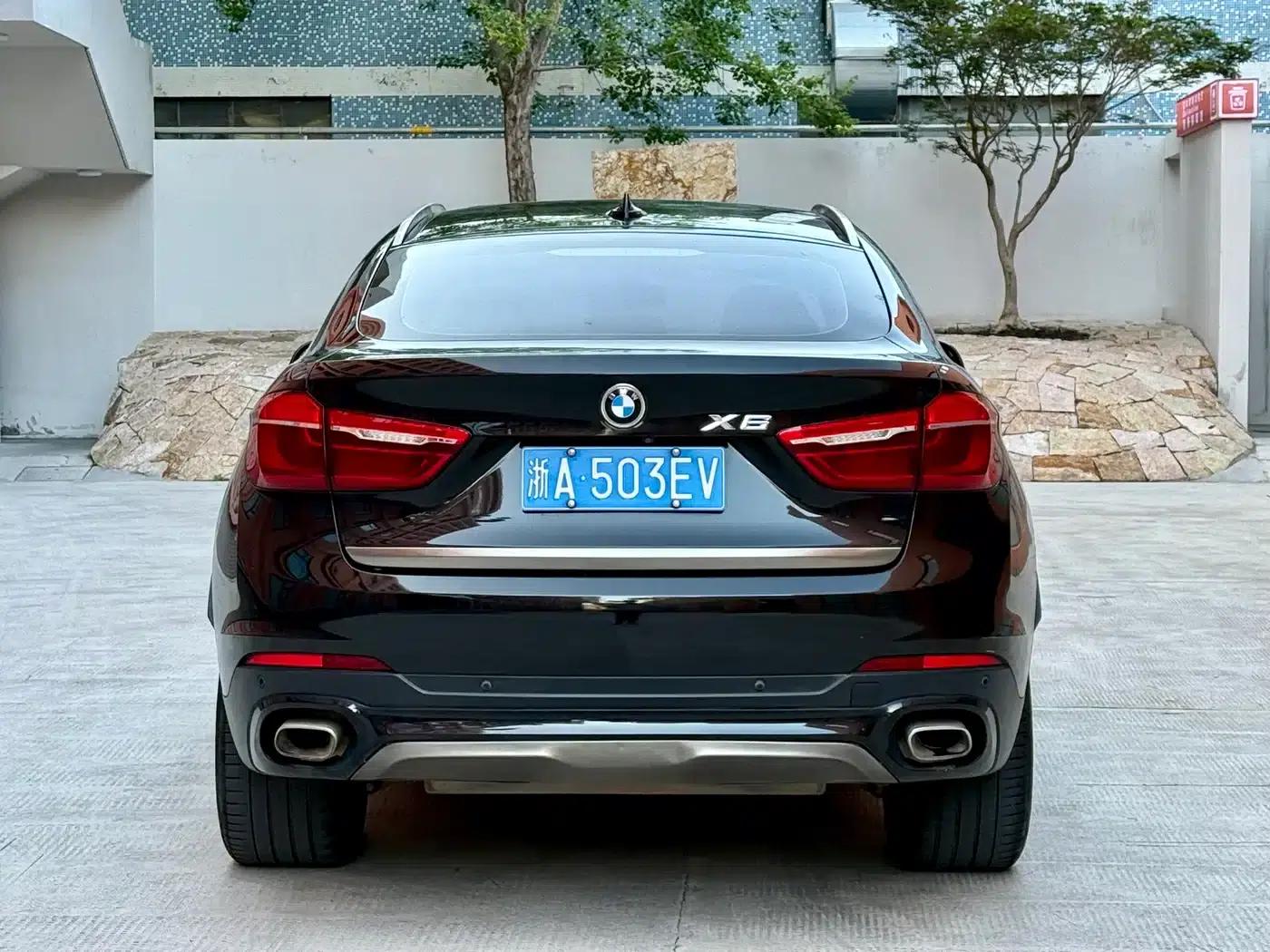 BMW X6 2018 xDrive35i Leading Edition — миниатюра 5