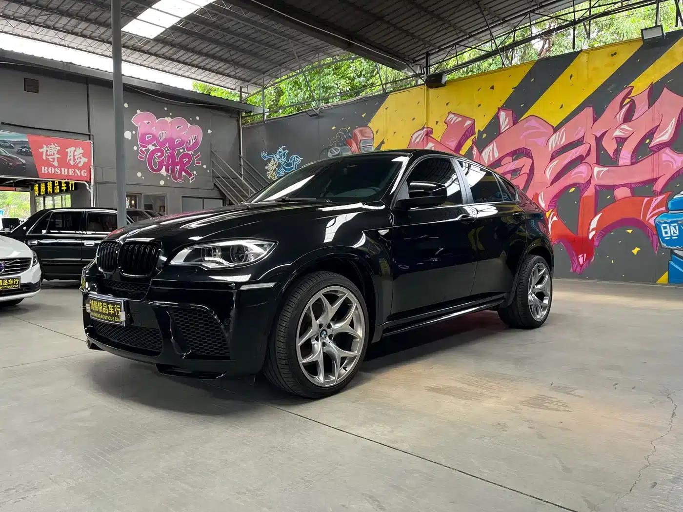 BMW X6 2009 xDrive35i — миниатюра 1