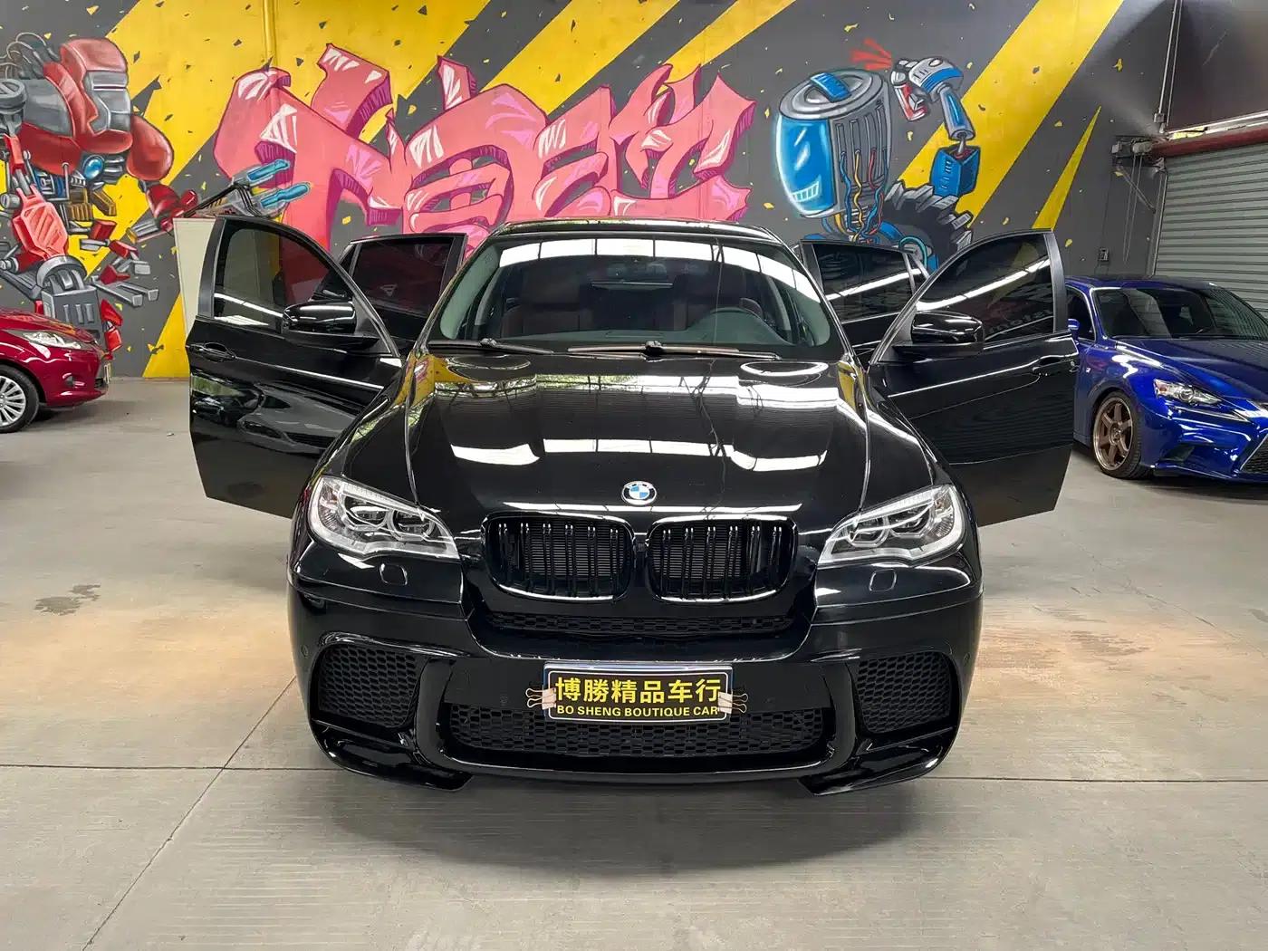 BMW X6 2009 xDrive35i — миниатюра 2