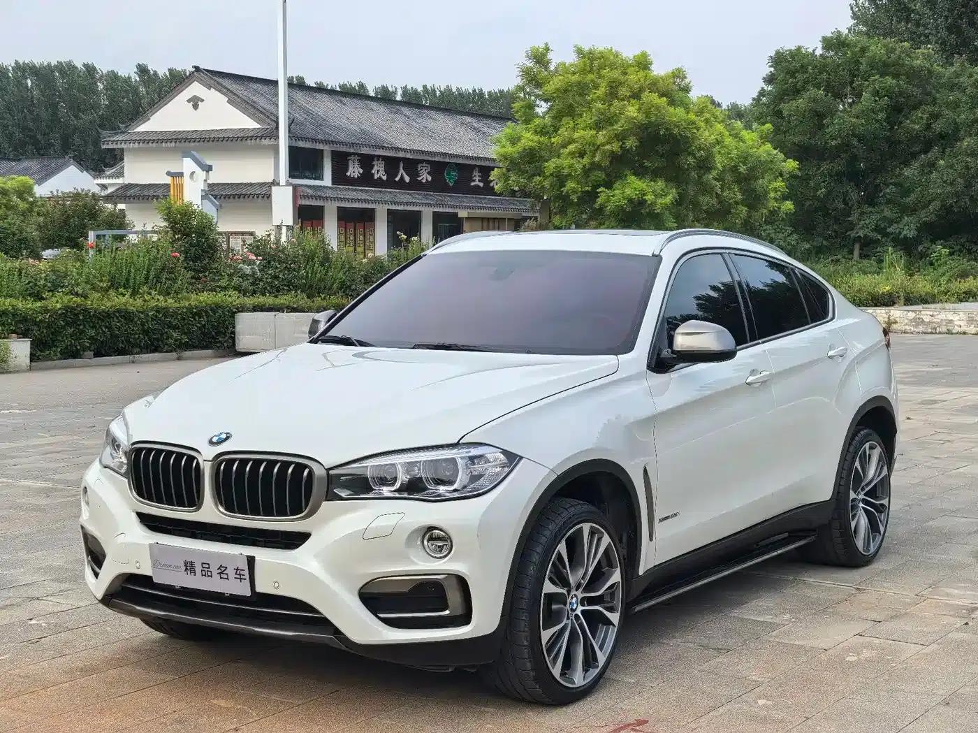 BMW X6 2017 xDrive35i Leading Edition — миниатюра 1