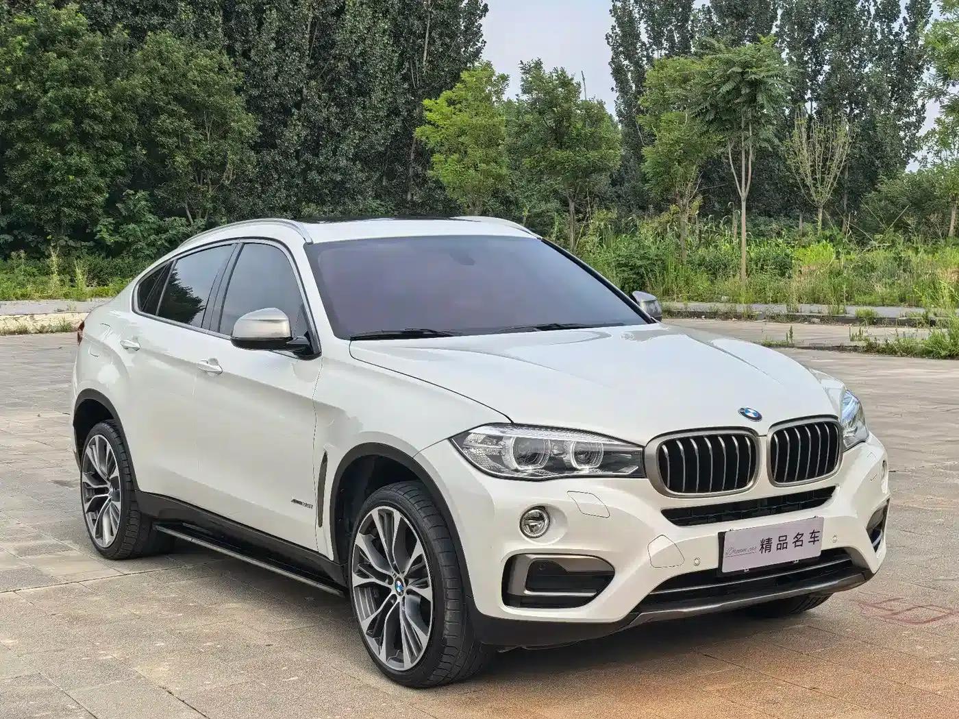 BMW X6 2017 xDrive35i Leading Edition — миниатюра 3