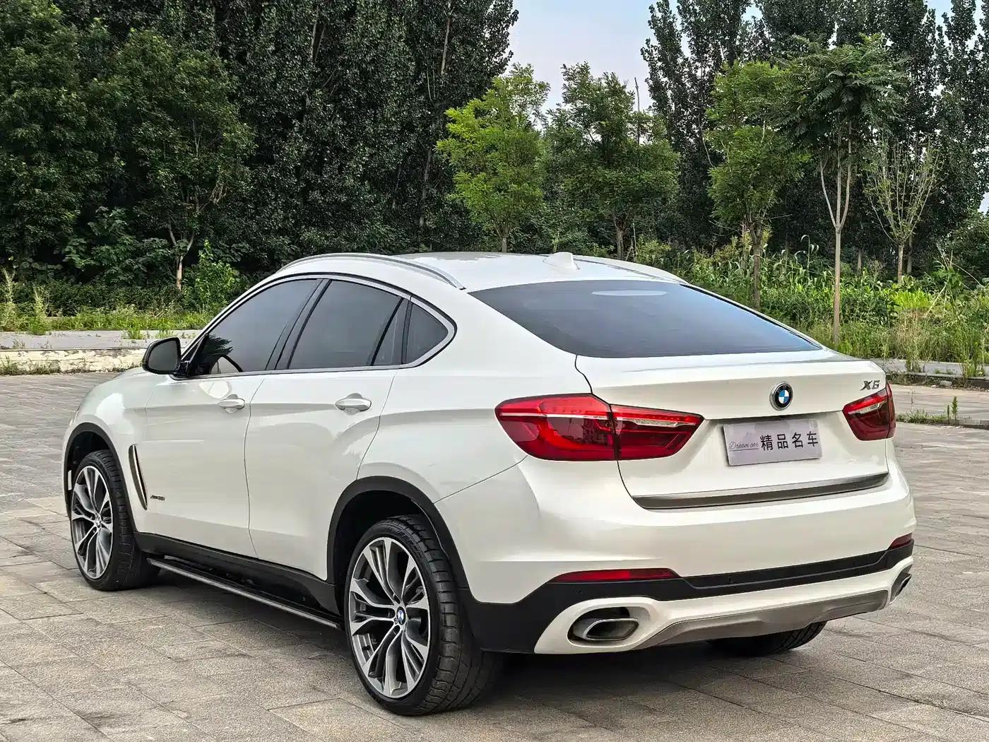 BMW X6 2017 xDrive35i Leading Edition — миниатюра 4