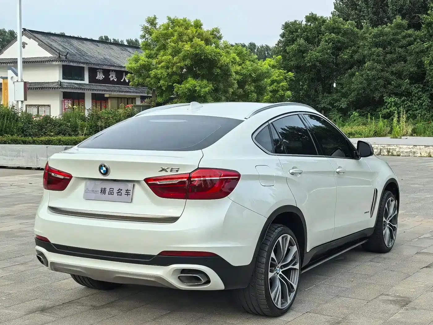 BMW X6 2017 xDrive35i Leading Edition — миниатюра 6