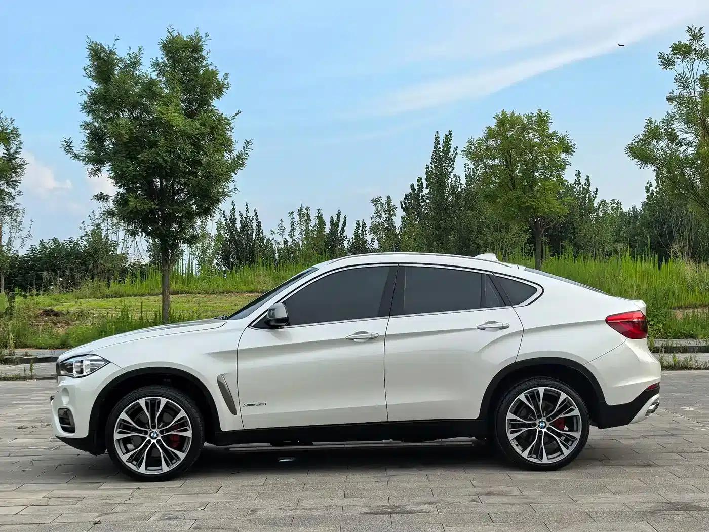 BMW X6 2017 xDrive35i Leading Edition — миниатюра 7