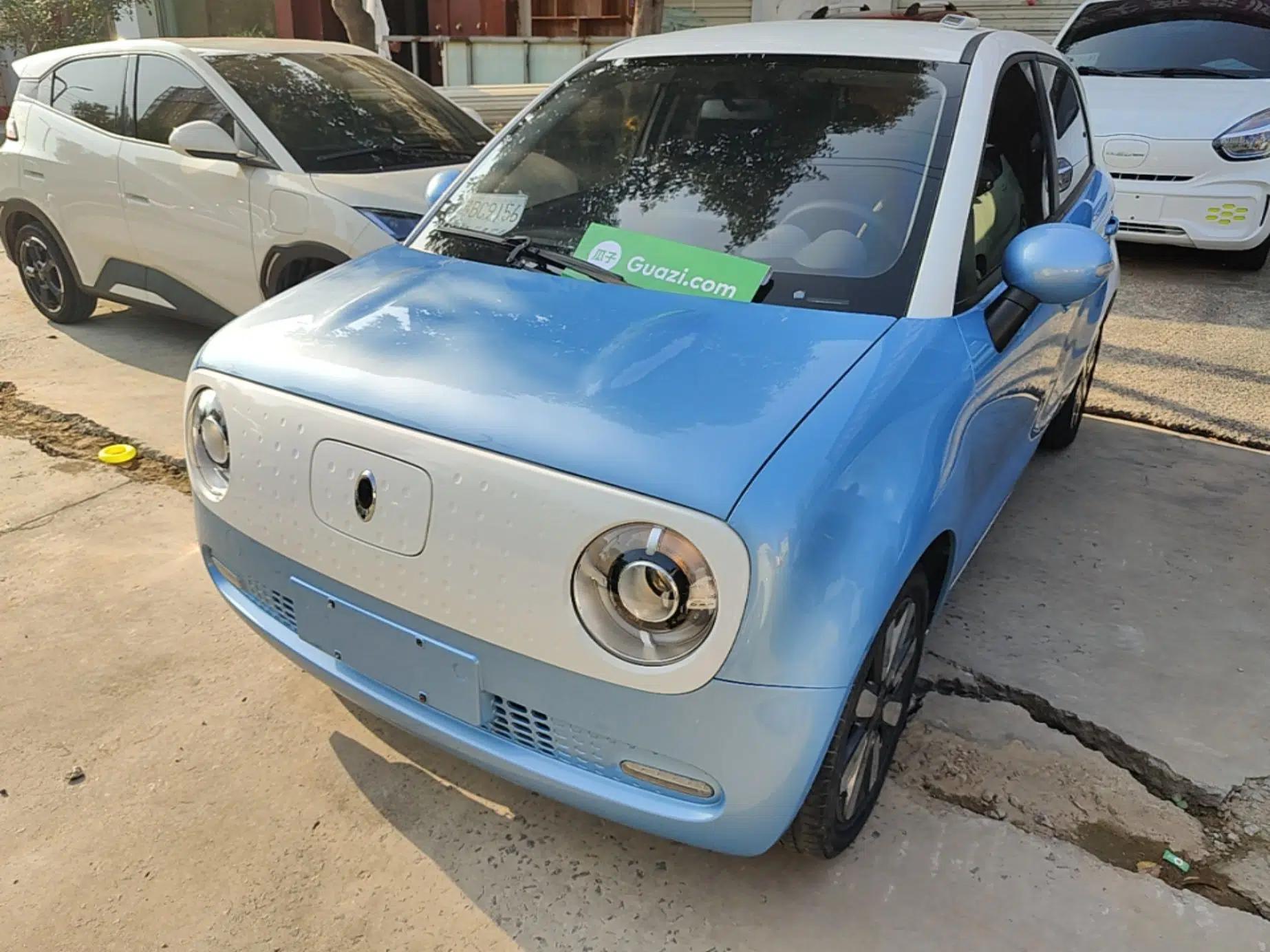 ORA Black Cat 2021 351 km Standard Version — миниатюра 1