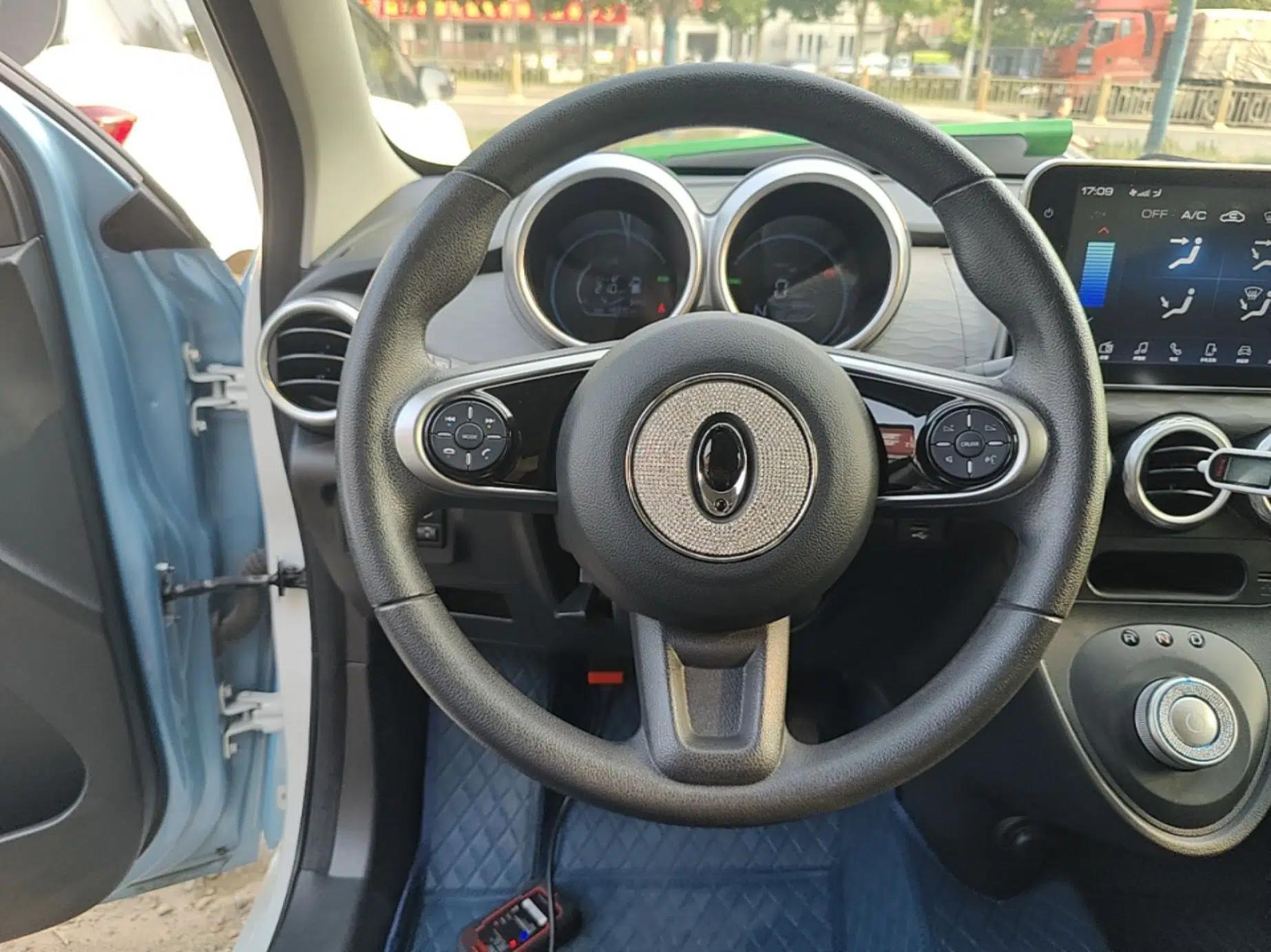 ORA Black Cat 2021 351 km Standard Version — миниатюра 13