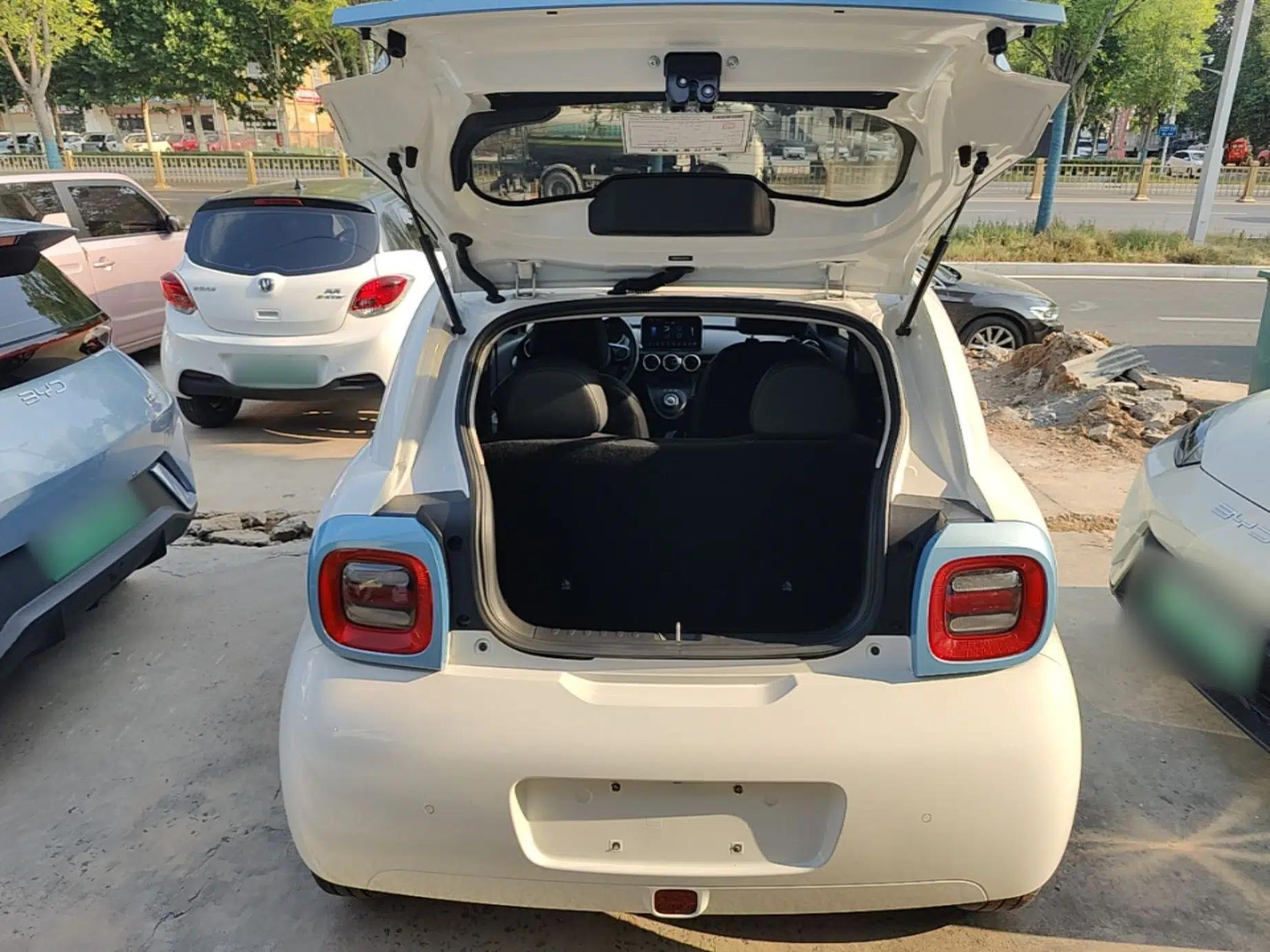 ORA Black Cat 2021 351 km Standard Version — миниатюра 22