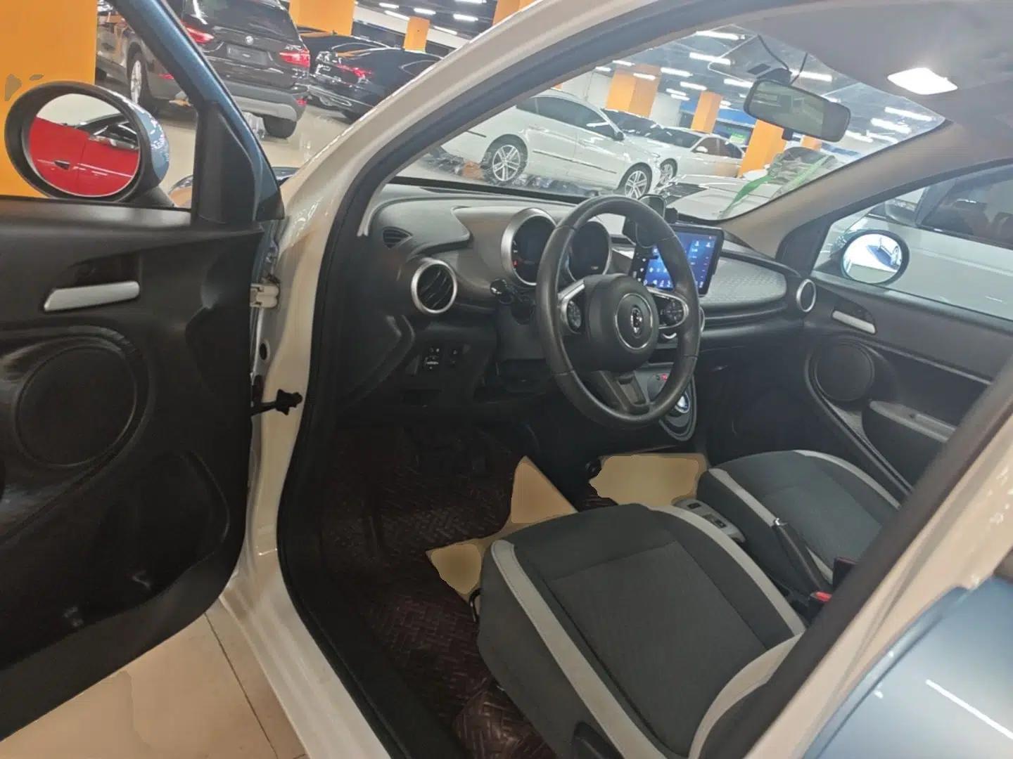 ORA Black Cat 2021 301 km Basic Version — миниатюра 18