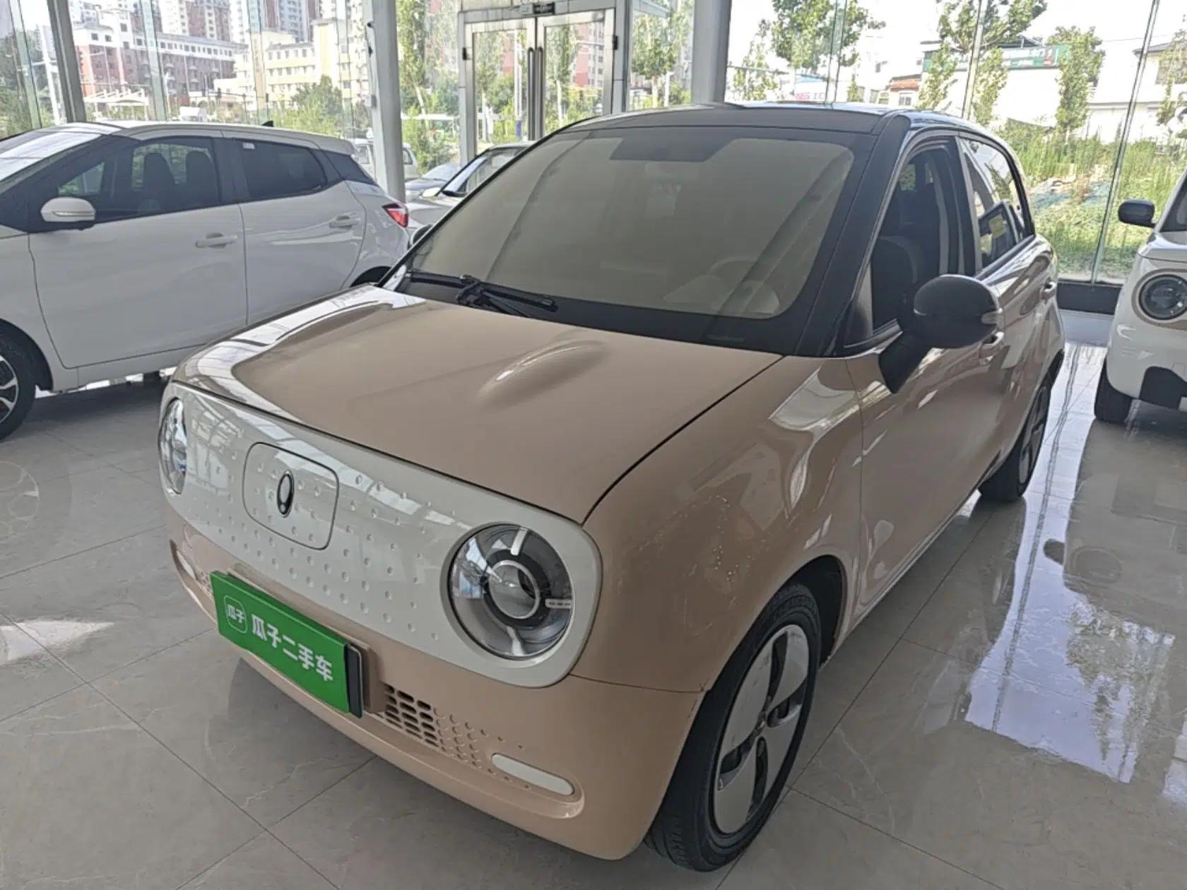 ORA Black Cat 2021 301 km Basic Version — миниатюра 1