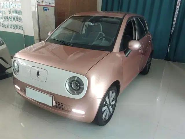 ORA Black Cat 2021 351 km Luxury Version