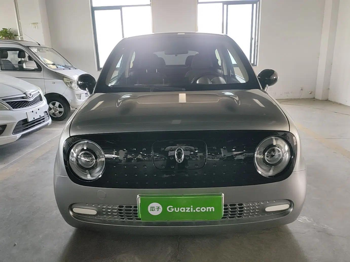 ORA Black Cat 2021 301 km Basic Version — миниатюра 2