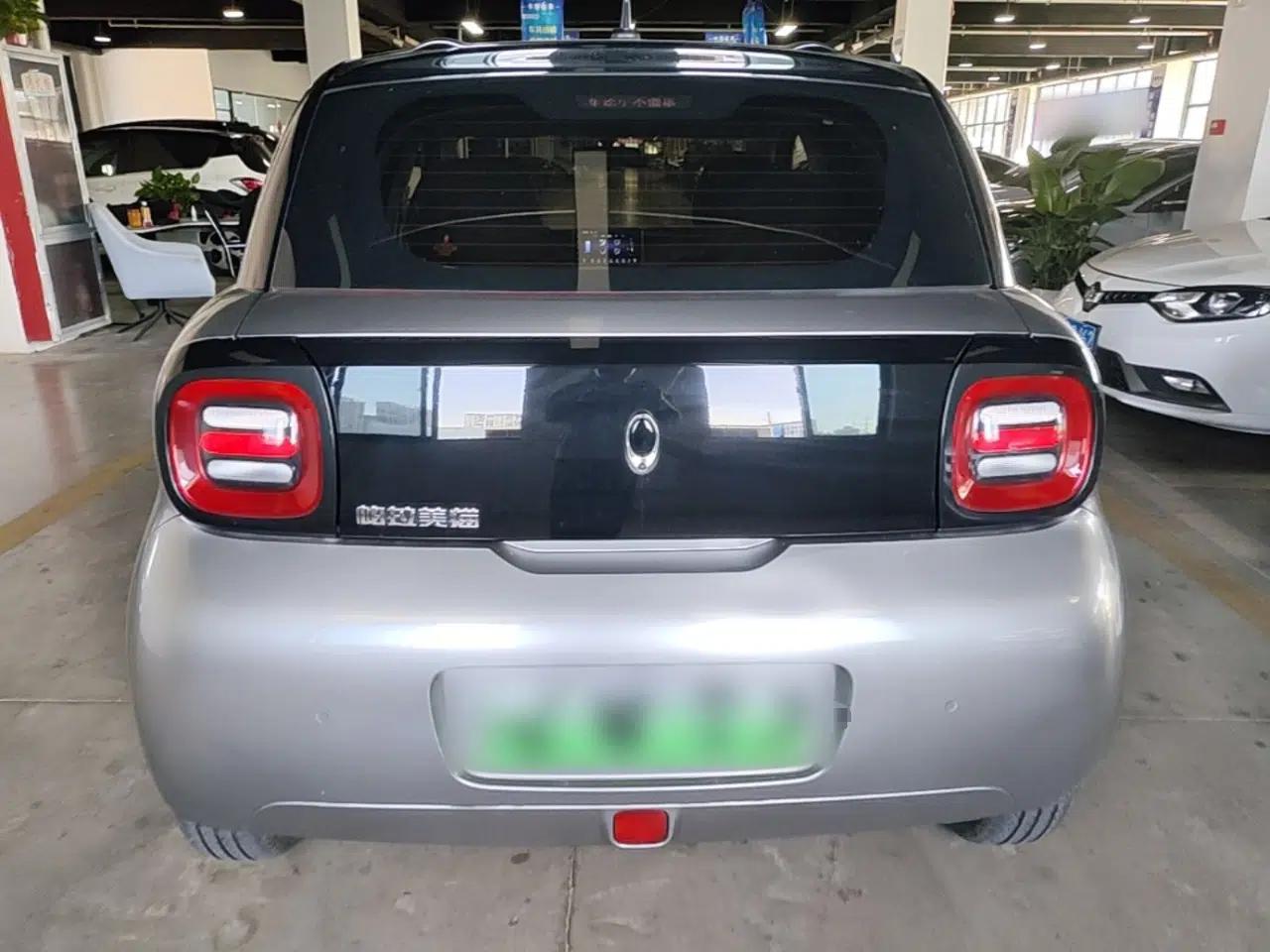 ORA Black Cat 2021 301 km Basic Version — миниатюра 5