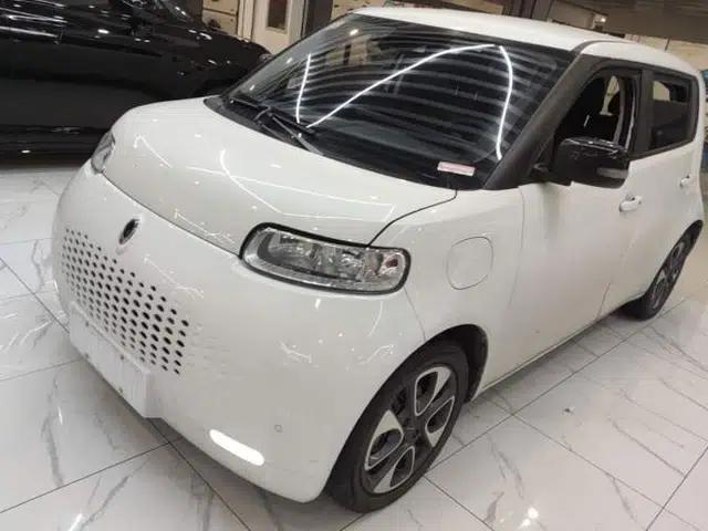 ORA White Cat 2020 401 km Flagship Version