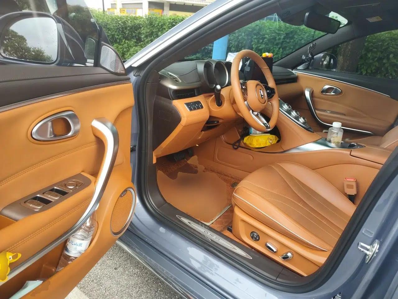 ORA Lightning Cat 2022 555 km Luxury Edition — миниатюра 16