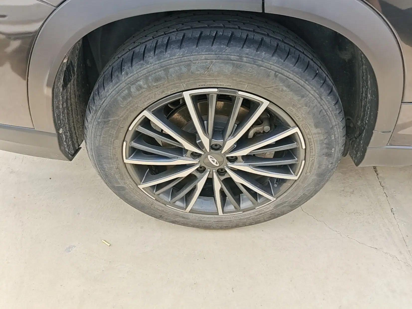 Chery Tiggo 8 PLUS 2021 290TGDI DCT Haoting Edition — миниатюра 11