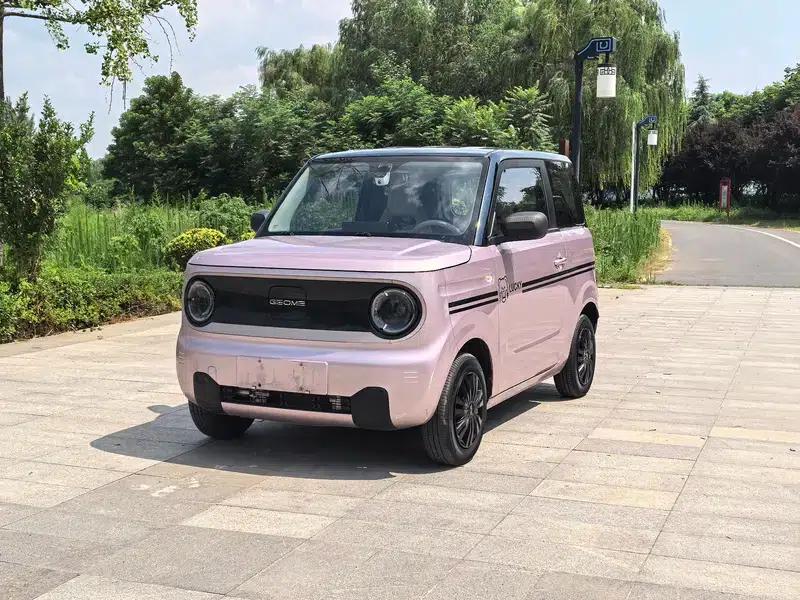 Panda 2023 200km Panda Mini Agile Bear — миниатюра 1