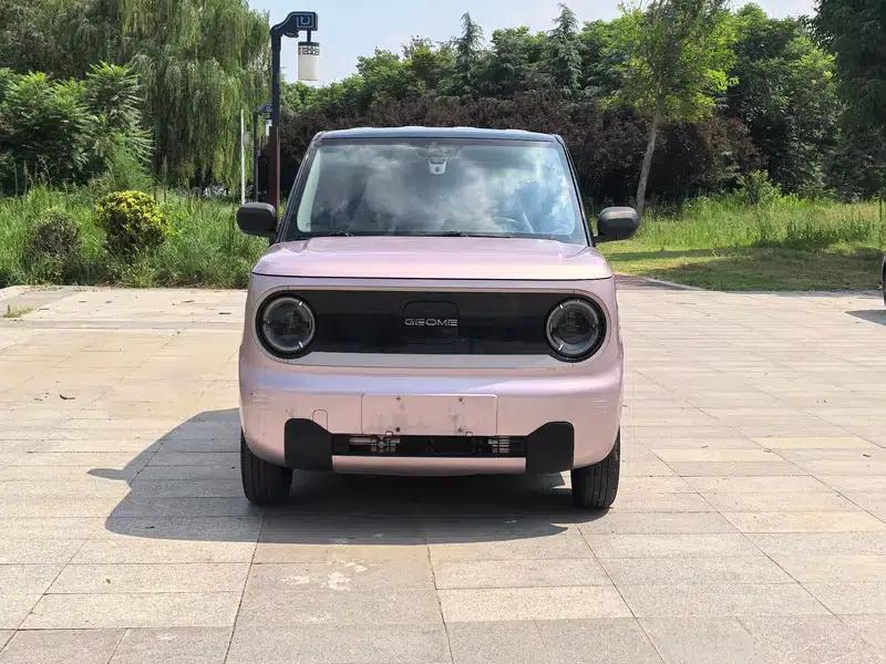 Panda 2023 200km Panda Mini Agile Bear — миниатюра 2