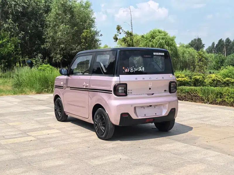 Panda 2023 200km Panda Mini Agile Bear — миниатюра 4