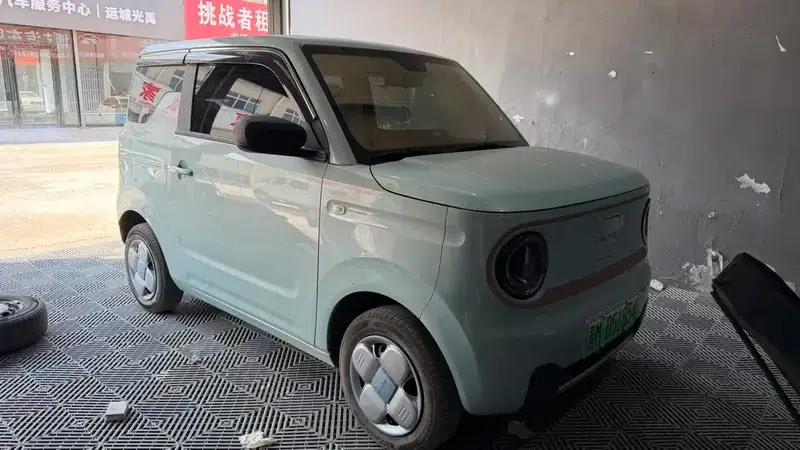 Panda 2024 Model 200km Panda Mini Endurance Bear — миниатюра 2