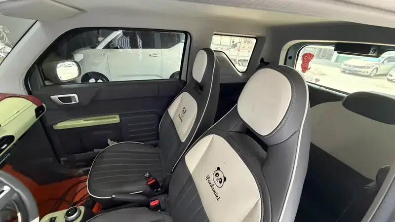 Panda 2024 Model 200km Panda Mini Endurance Bear — миниатюра 9