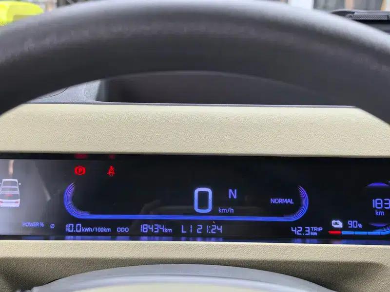 Panda 2024 Model 200km Panda Rider — миниатюра 12