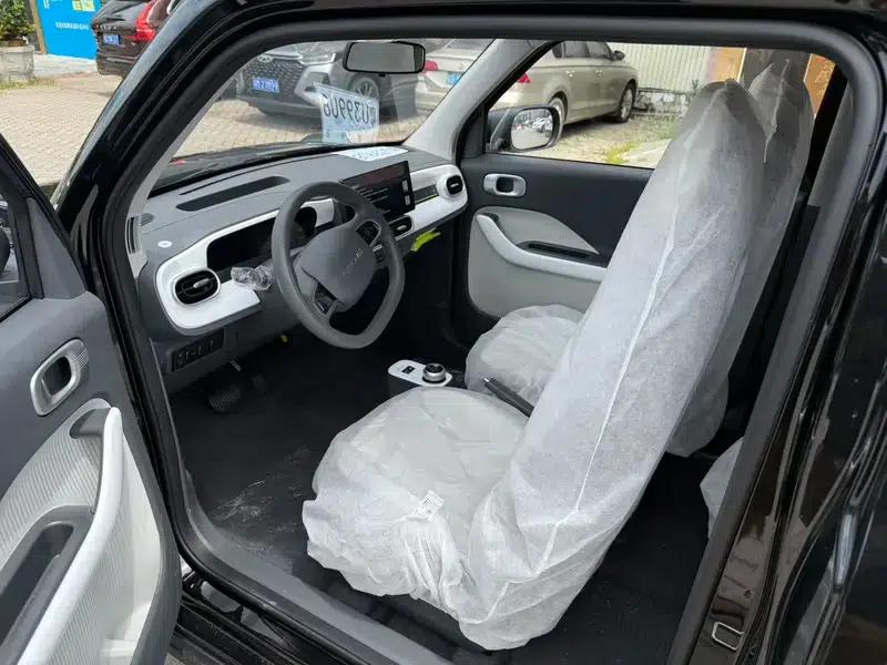 Panda 2025 Model 210km Panda Gokart — миниатюра 9
