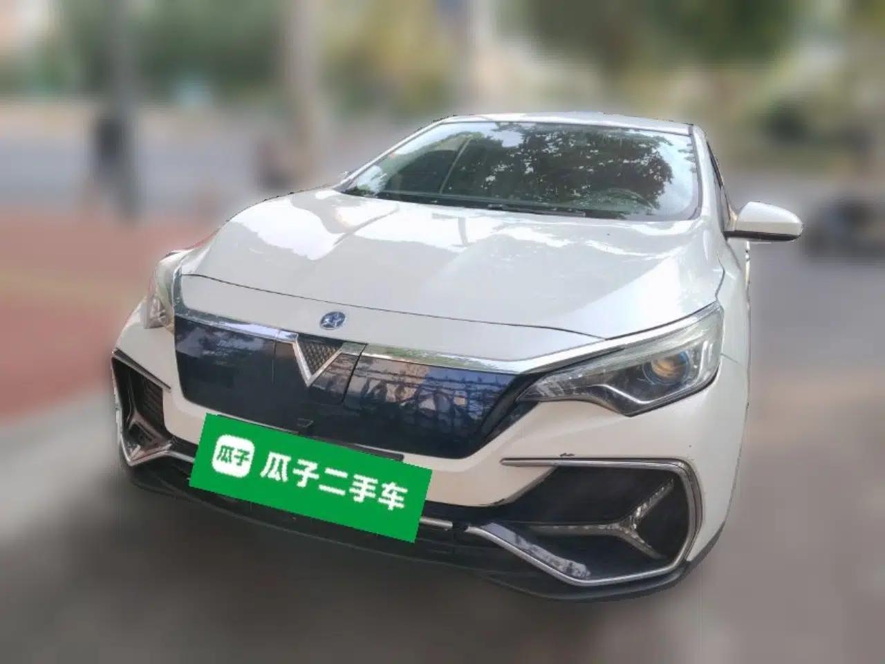 Venucia D60EV 2019 High-Range Travel Edition — миниатюра 2