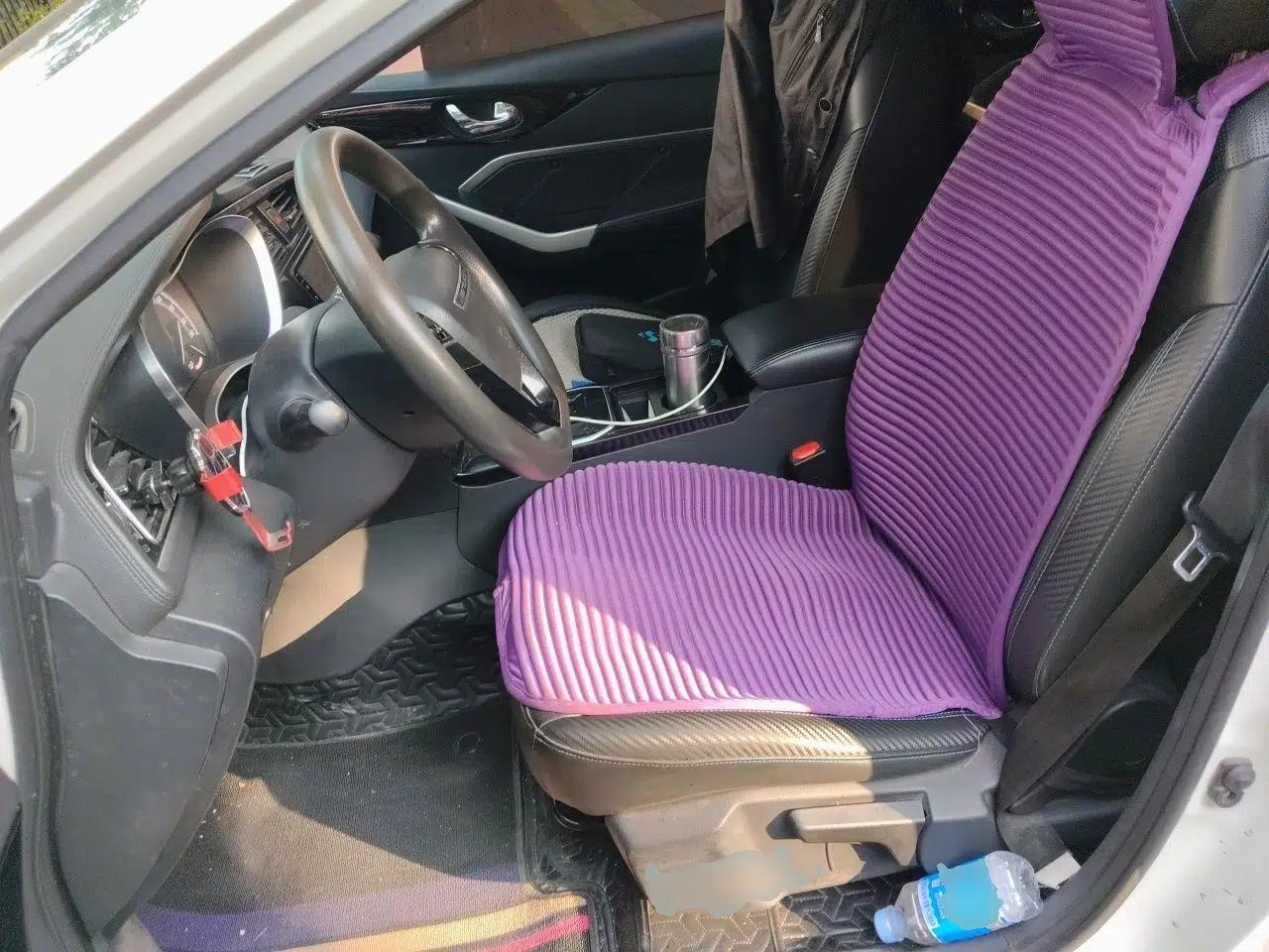 Venucia D60EV 2019 High-Range Travel Edition — миниатюра 15