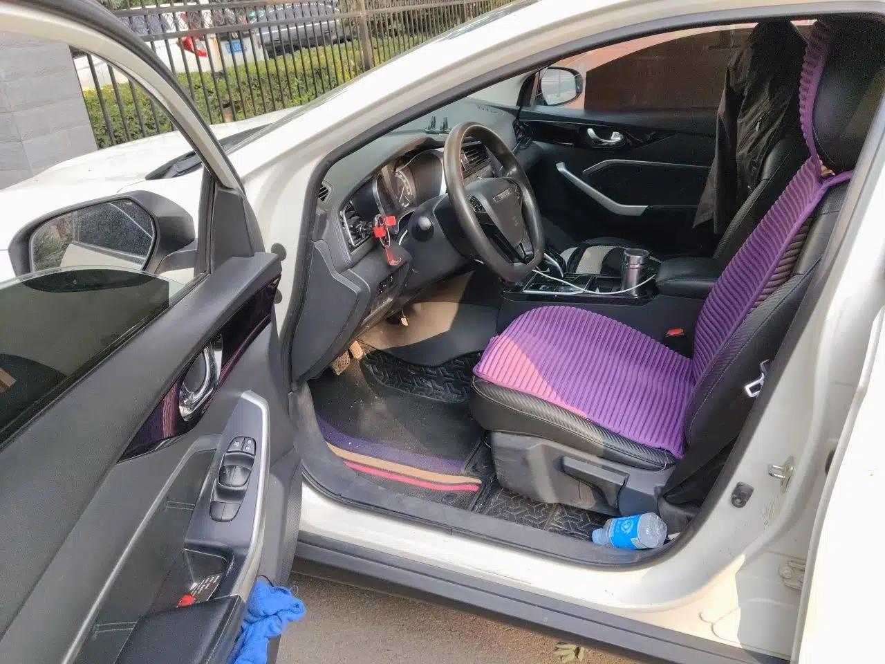 Venucia D60EV 2019 High-Range Travel Edition — миниатюра 16