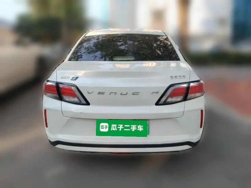 Venucia D60EV 2019 High-Range Travel Edition — миниатюра 5