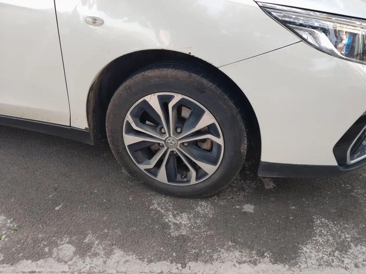 Venucia D60EV 2019 High-Range Travel Edition — миниатюра 8