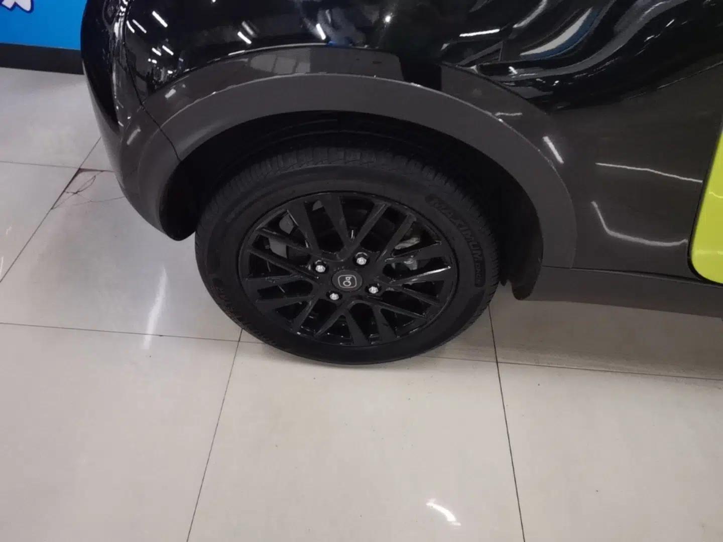 Chery QQ Little Ant 2024 Youth Edition 321 km Range Cool Love Version 29.23 kWh — миниатюра 11