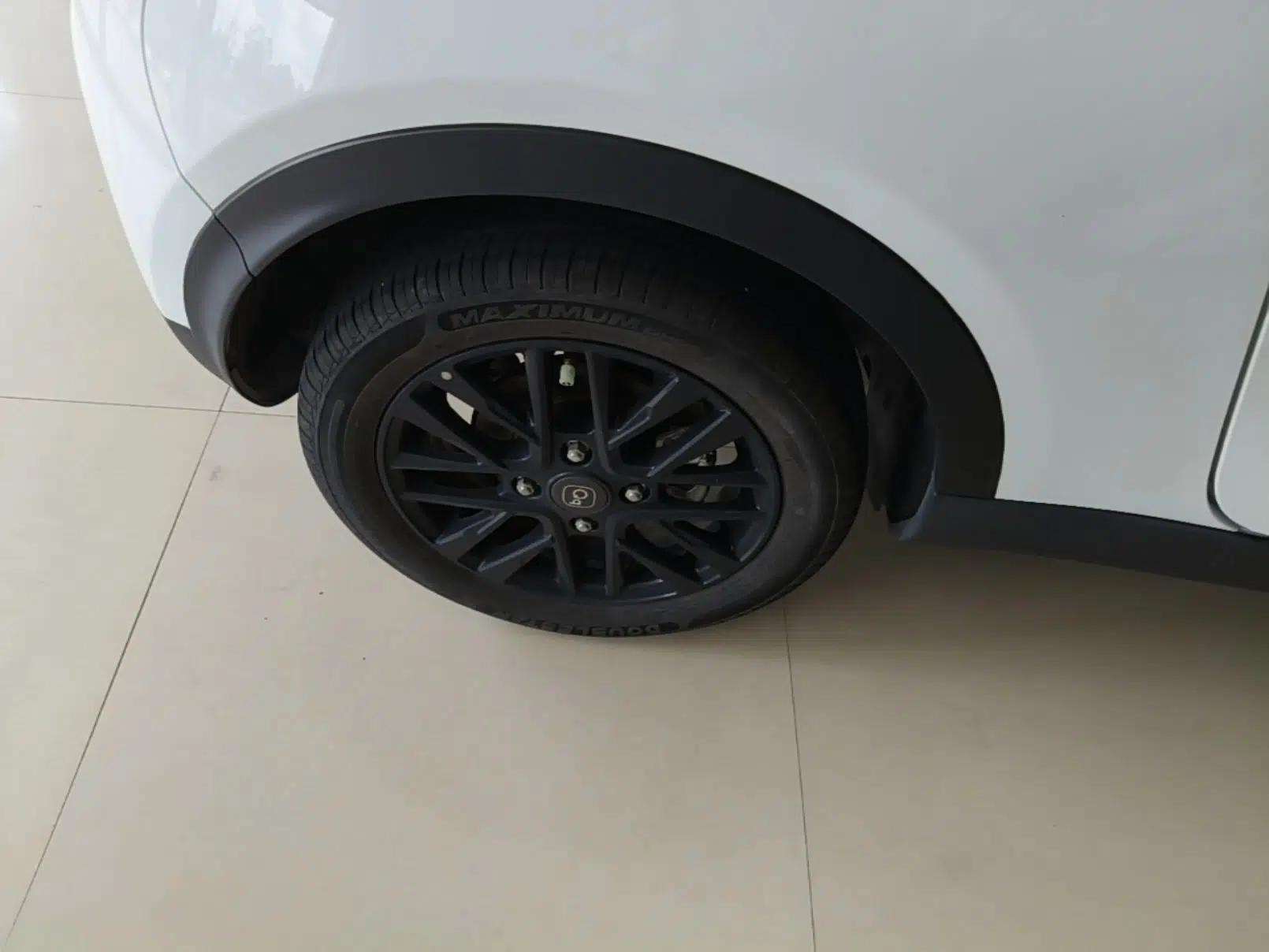 Chery QQ Little Ant 2024 321km Love Edition — миниатюра 16
