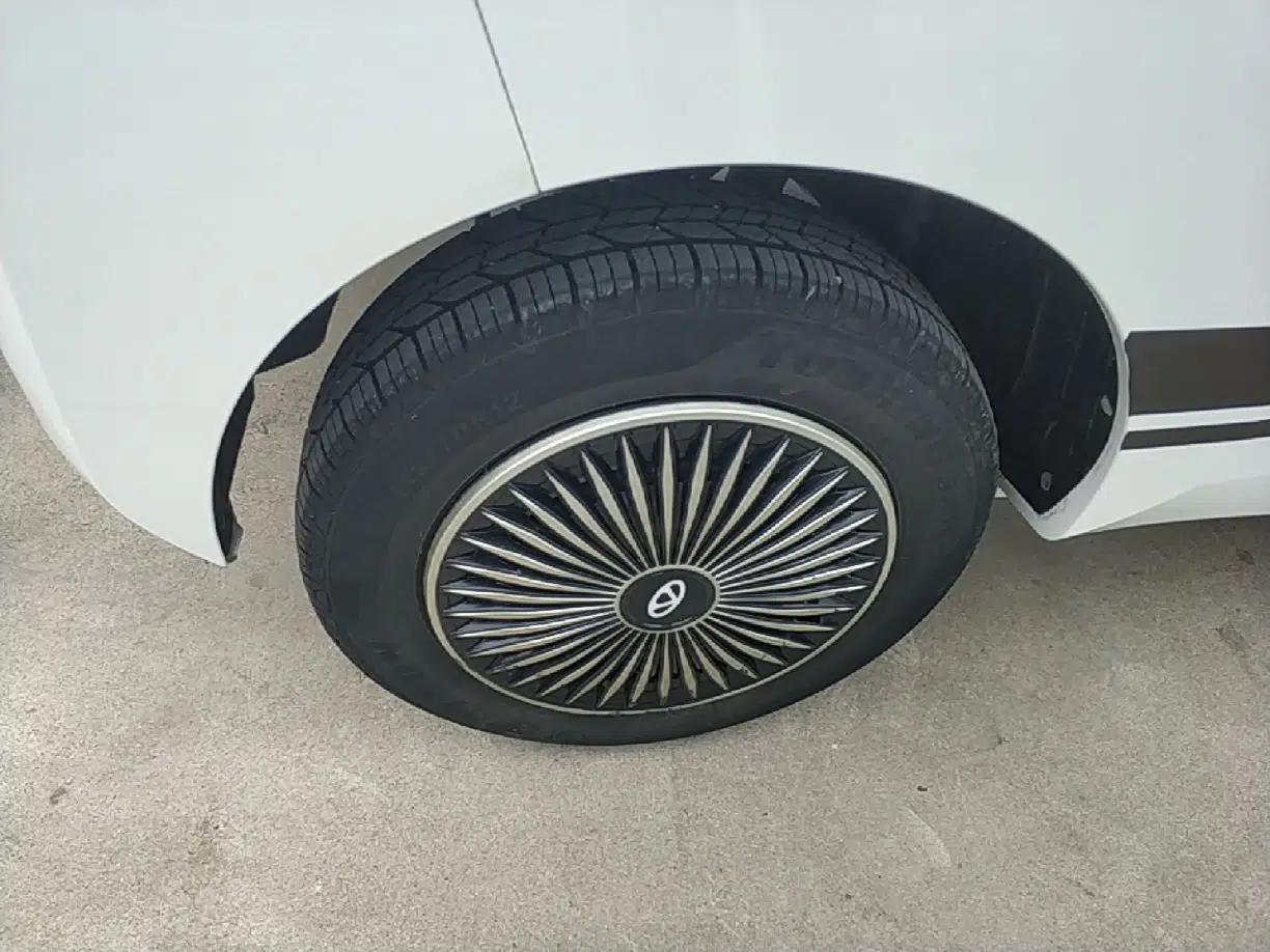 Chery QQ Ice Cream 2022 170km Sundae Phosphate Lithium-Ion — миниатюра 11