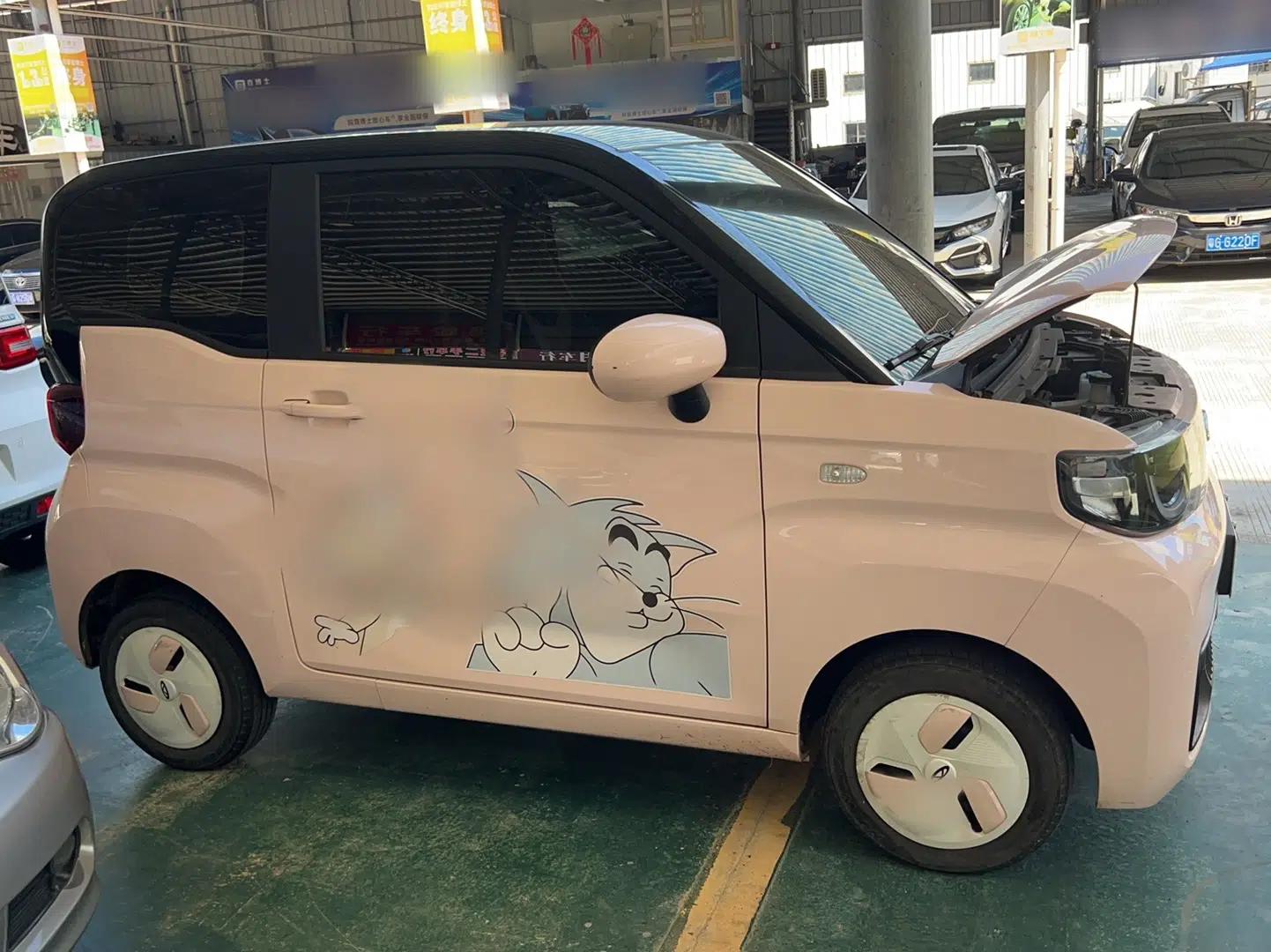 Chery QQ Ice Cream 2022 170km Sundae Phosphate Lithium-Ion — миниатюра 5