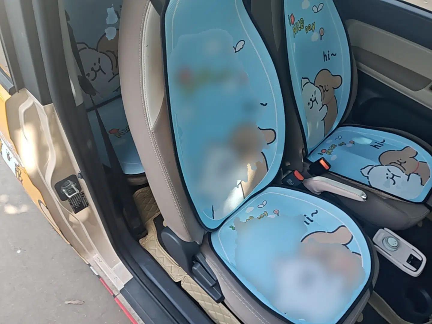 Chery QQ Ice Cream 2025 205km Qi Energy Version — миниатюра 19