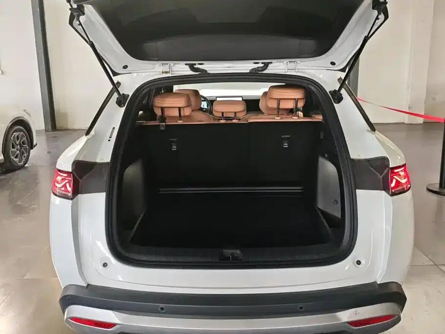 Song L DM-i 2024 Model 112km Leading Edition — миниатюра 4
