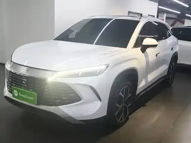 Song L DM-i 2024 Model 160km/h Excellent Edition