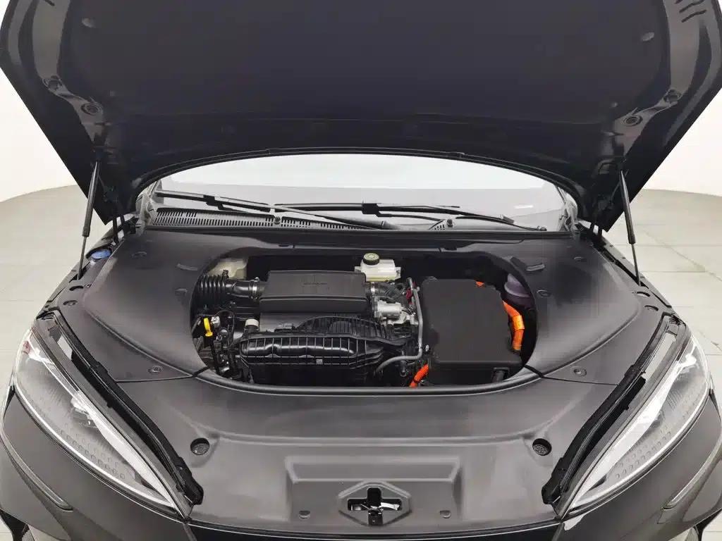 Seal 2024 Glory Edition DM-i 1.5L 121km Luxury — миниатюра 6