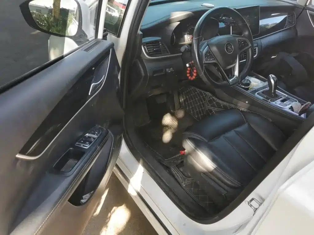 Song MAX 2019 1.5T Automatic Intelligent Connected Ruiyi 6-seater National V Emission Standard — миниатюра 16