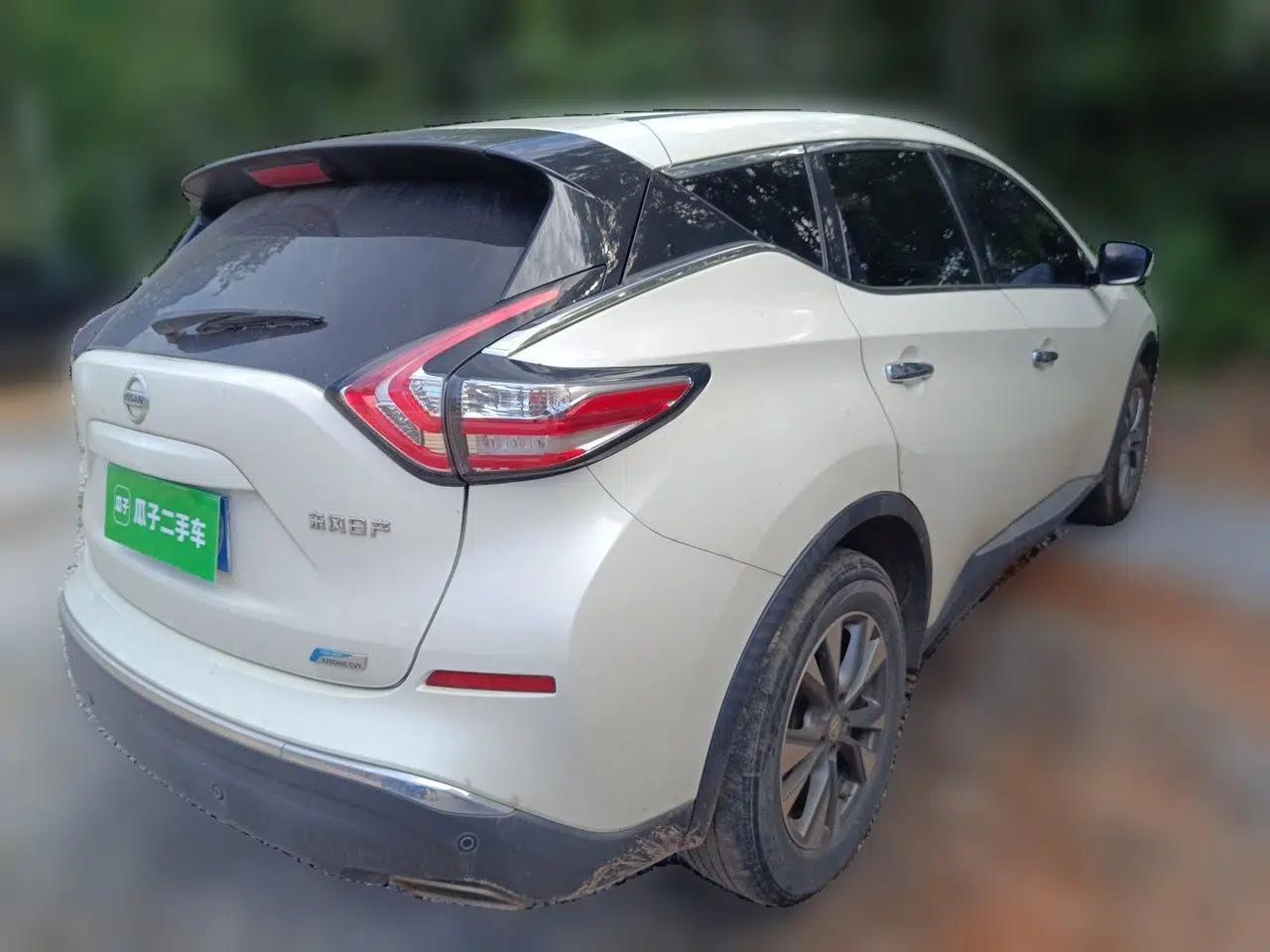 Nissan Murano 2021 2.5L XL Two-Wheel Drive Smart Connect Luxury Edition — миниатюра 6