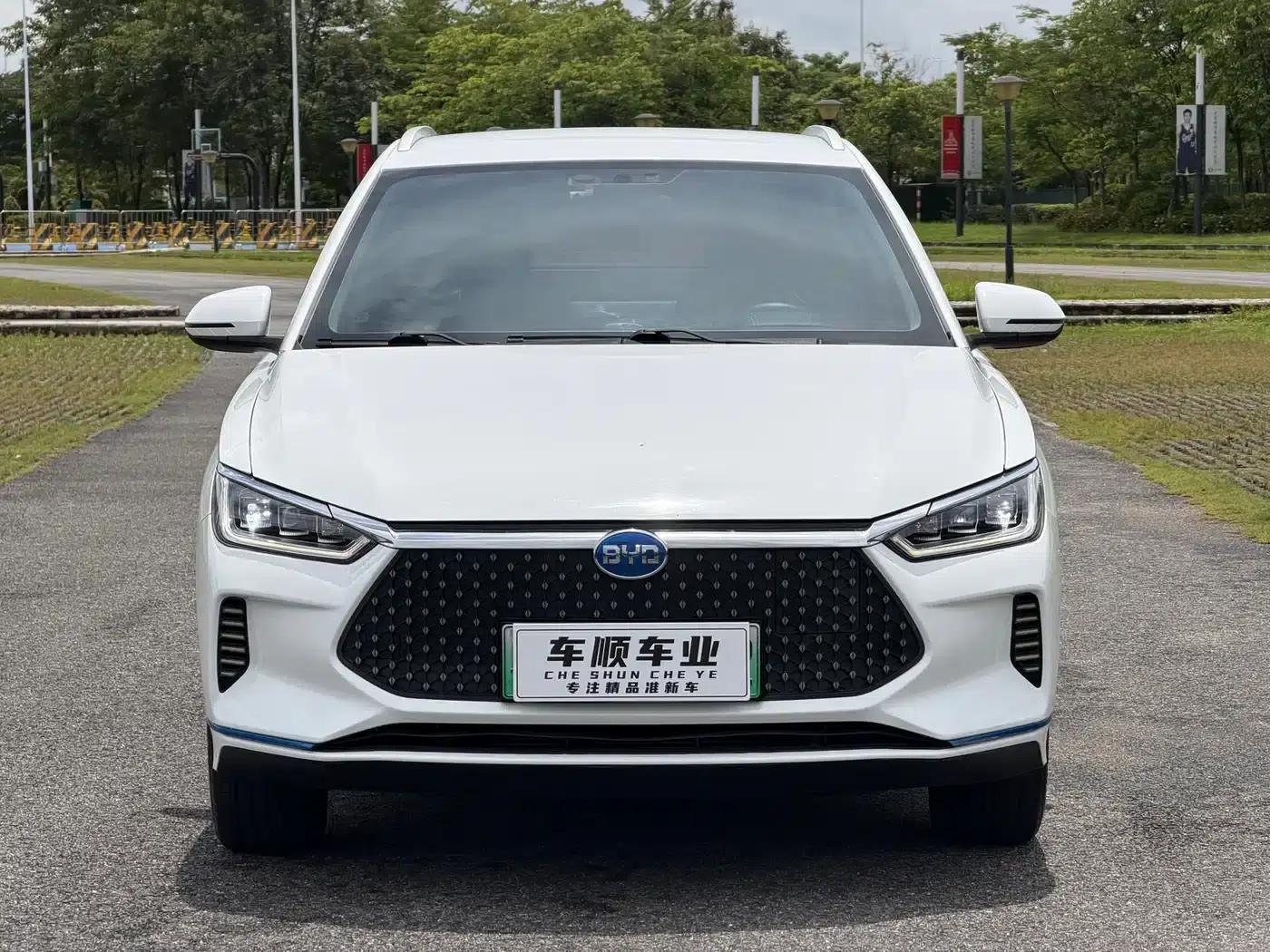 BYD e2 2021 Luxury Edition — миниатюра 2